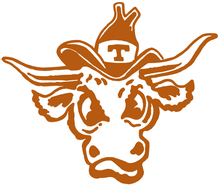 Texas Longhorns 1977-Pres Alternate Logo diy DTF decal sticker